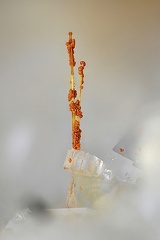 Aeschinite - Trimouns - Luzenac - Ariège