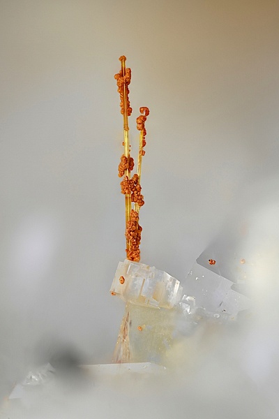 162 Aeschinite, Luzenac, ariège, france, champ 2.4mm.jpg
