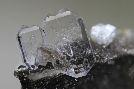 n°126033 - Célestine, Dolomite - Condorcet - Drôme