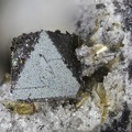 n°163384 - Magnetite, Enstatite, Pseudobrookite - Puy de Lempteguy (Carrière) - Saint-Ours-les-Roches - Puy-de-Dôme