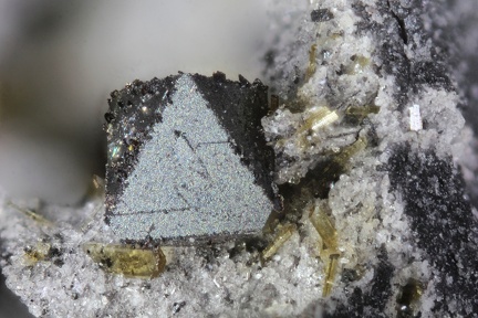 n°163384 - Magnetite, Enstatite, Pseudobrookite - Puy de Lempteguy (Carrière) - Saint-Ours-les-Roches - Puy-de-Dôme