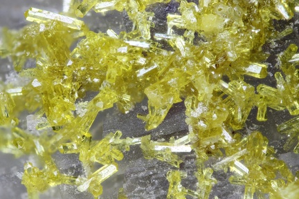 n°188061 - Pyromorphite - Haut du Them (mine) - Maxonchamp - Vosges
