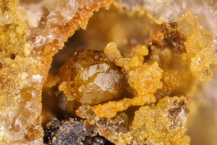 n°103256 - Cyrilovite - Le Mazet, Echassières, Allier
