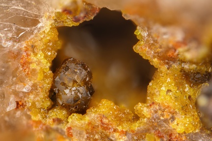 n°103257 - Cyrilovite - Le Mazet, Echassières, Allier
