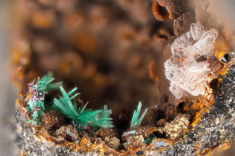 n°134078 - Malachite, Baryte - Villecun, Olmet-et-Villecun, Hérault