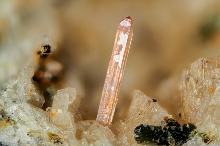 n°163302 - Zircon, Titanite, Pyroxène (groupe) - GR30, Chantauzet, Le Mont Dore, Puy-de-Dôme