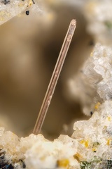 n°163304 - Zircon - GR30, Chantauzet, Le Mont Dore, Puy-de-Dôme