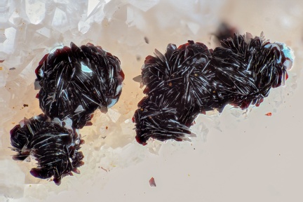 n°168107 - Hématite - Bourbach-le-Haut, Haut-Rhin