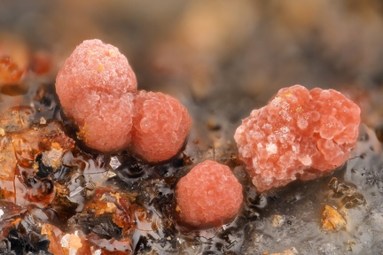 n°168108 - Erythrite - Sondage BRGM, Kruth, Haut-Rhin