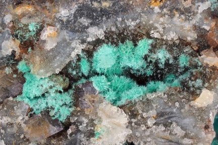 n°188056	 - Malachite - Haut du Them (Mine), Maxonchamp, Vosges