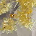 n°188057 - Pyromorphite, Wulfenite, Quartz - Haut du Them (Mine) - Maxonchamp - Vosges