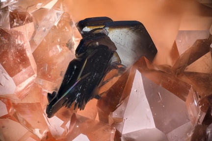 n°188058 - Hematite, Quartz - Faymont  - Le Val d'Ajol - Vosges