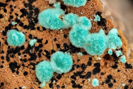n°190009 - Malachite - Saint Daniel (Mine) - Giromagny - Territoire-de-Belfort