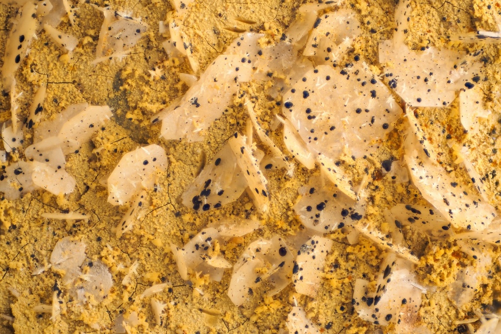 n°190010 - Stolzite, Mimetite - Saint Daniel (Mine) - Giromagny - Territoire-de-Belfort