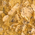 n°190010 - Stolzite, Mimetite - Saint Daniel (Mine) - Giromagny - Territoire-de-Belfort