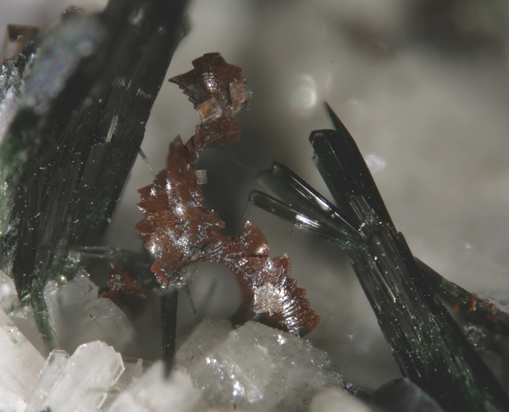 Siderite Aegyrine - Bras de Cilaos - La Réunion