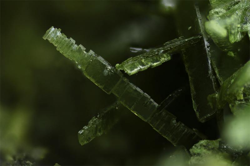 Olivenite - La Verrière - Rhône - olivenite%2520la%2520verriere%2520%2520c1%252C7mm%2520copie.jpg olivenite%2520la%2520verriere%2520%2520c1%252C7mm%2520copie.jpg