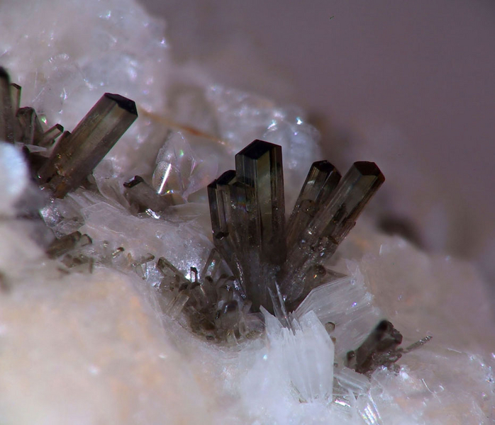 Allanite-(Ce)  - Trimouns - Ariège