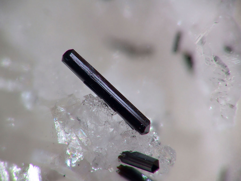 Goethite - Mont Roc - Tarn