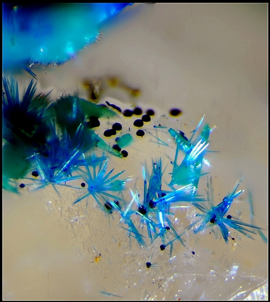 Connellite-Le Bastit-Najac-Aveyron- JCD -Champ 1mm.jpg