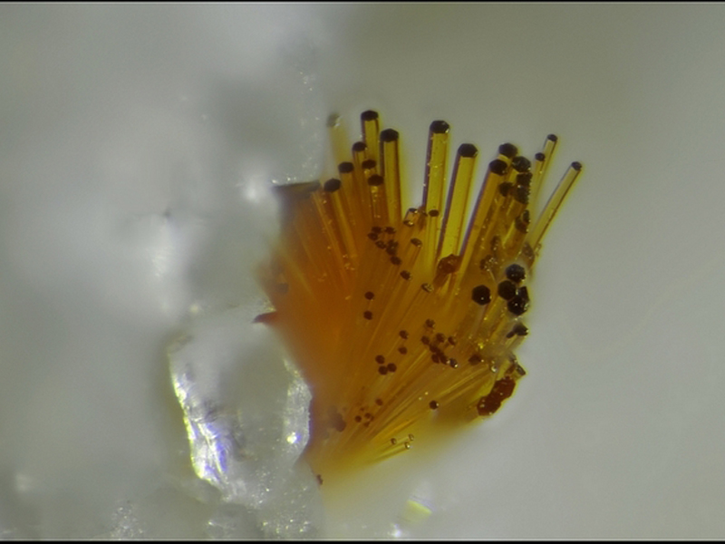 Cacoxenite-Les Montmins-Echassiéres-Allier