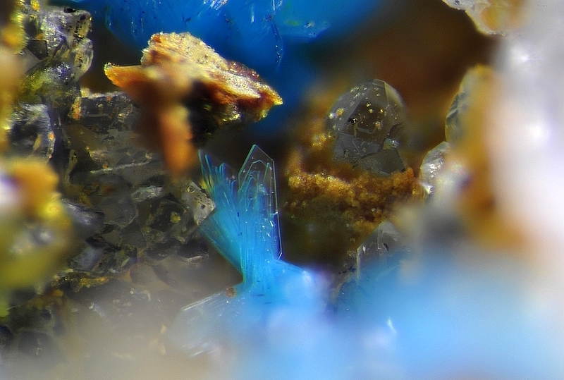 Richelsdorphite - L\' Isoule - Laguépie - Tarn et Garonne - JCD - Champ 0,8mm.jpg