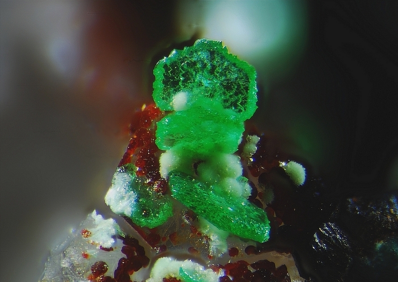 Bayldonite - Falgayrolles - Najac - Aveyron - JCD - Champ 2mm.jpg
