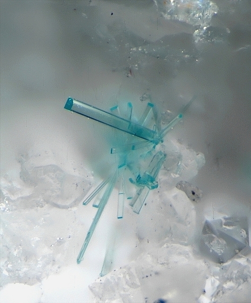 Caledonite - Falgayrolles - Najac - Aveyron - JCD - Champ 0,8mm.jpg
