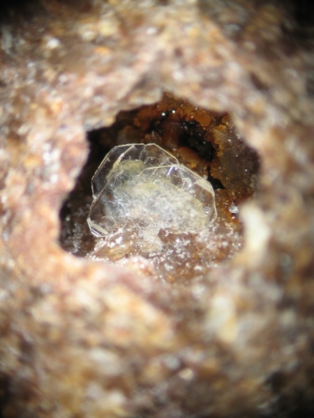 Barite - Saint Georges les Bains - Ardèche