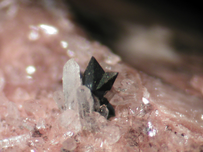 Anatase - Col des 3 Termes - Aples Maritimes - 3454 .jpg