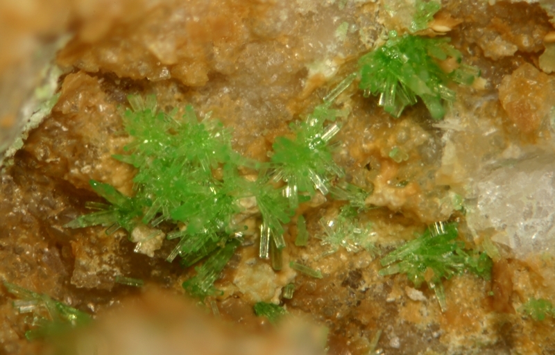 cristal 3mm Pyromorphite - Creuzeval - St Didie sur Beaujeu - Rhône - JCC - Cristal 3mm.jpg