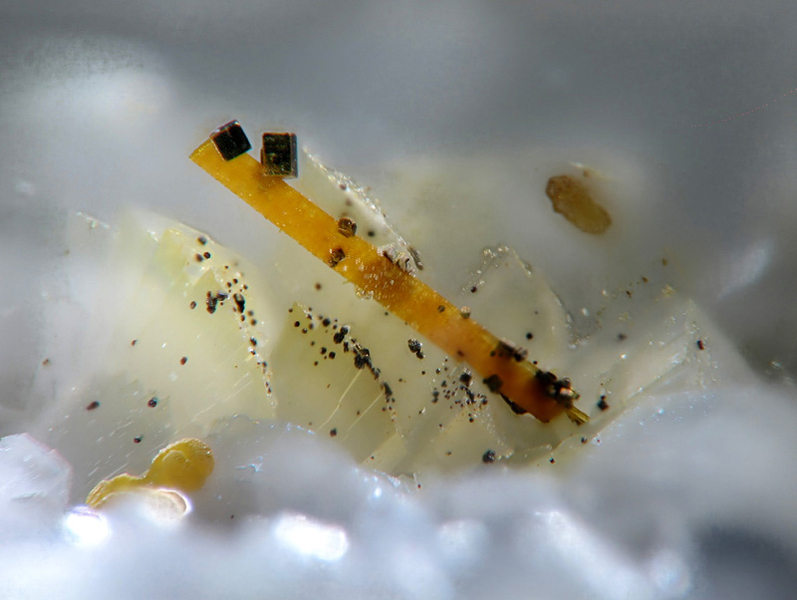 Aeschynite-(Y) Trimouns Ariège - DJ - cr 3mm.jpg