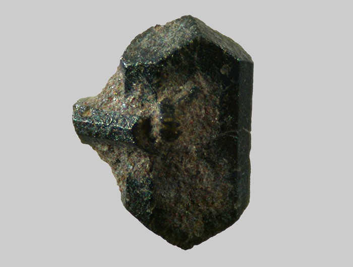 Augite - Ruisseau de Ricolas - Laqueuille - Puy-de-Dôme -  Taille 2,2mm