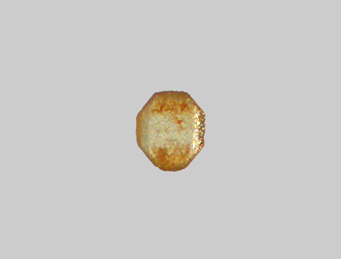 Baryte - Plage de la Pointe du Bile - Penestin - Morbihan - FP - Taille 0,25mm