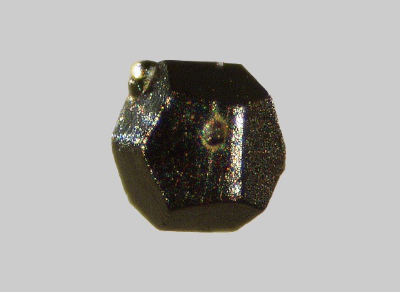 Limonite - Le Salat - Saint-Sernin - Ariège - FP -Taille 0,6mm.jpg
