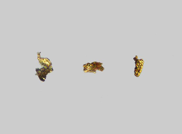 Or - Plage de la Mine d'Or - Penestin - Morbihan - FP - Taille 0,2mm 0,15mm et 0,15mm