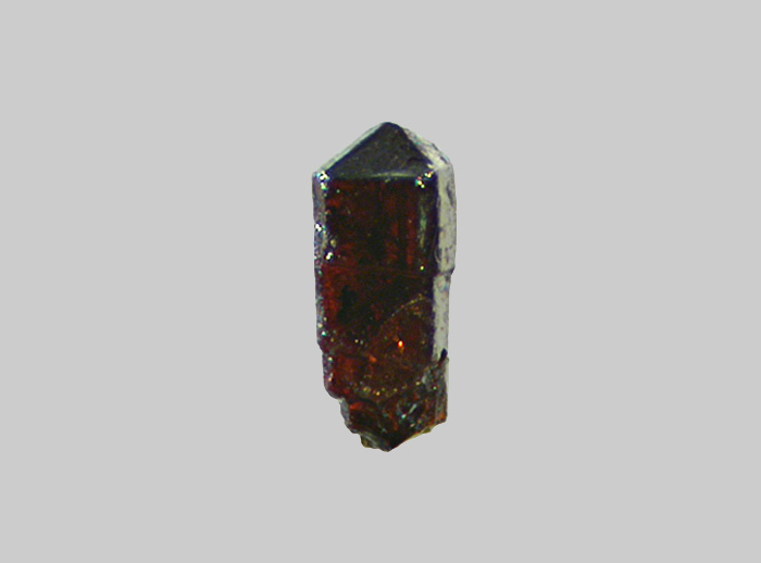 Rutile - Plage des Arènes - Port-Barcarès - Le Barcarès - Pyrénées-Orientales - FP - Taille 0,5mm