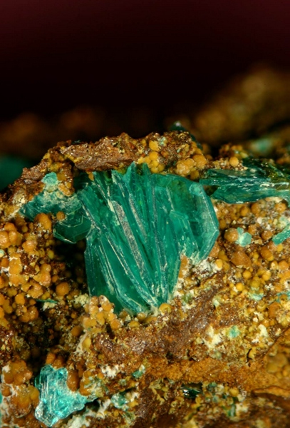 cristal 3 mm Chalcophyllite - Salsigne - Aude - JCC - Taiile du cristal 3 mm.jpg