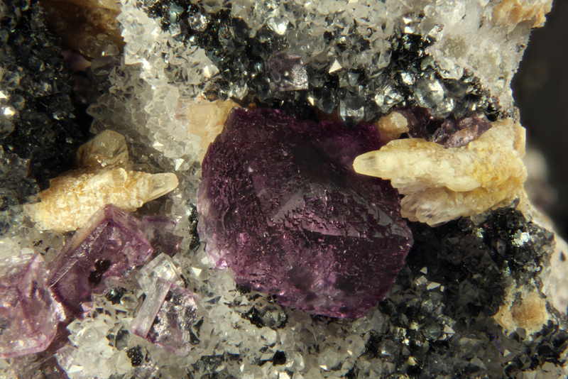 cristal 2mm
photo du mois - mai 2015 FluoriteCalcite_LesMeix_RuptSurMoselle_Vosges_cristal=2mm_TB.jpg