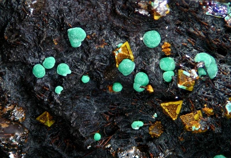 Malachite - Cuprite - Chessy les Mines - Rhône - JCC - Cristal 2 mm.jpg