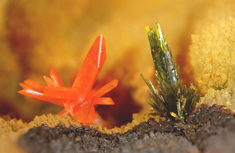 Crocoite Pyromorphite - Le Cantonnier - Nontron - Dordogne.jpg