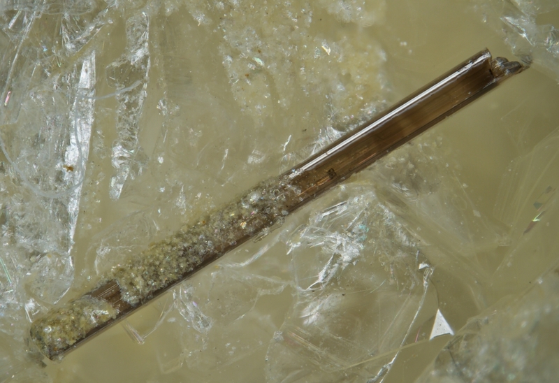 champ 0,3mm Trimounsite-(Y) - Trimouns - Luzenac - Ariège.jpg