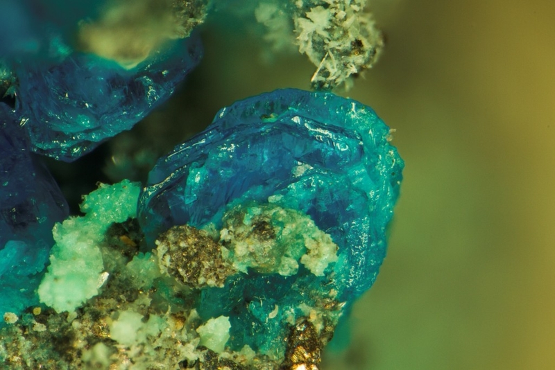 champ 1,2mm Yvonite, Pushcharovskite - Salsigne - Mas-Cabardès - Aude.jpg