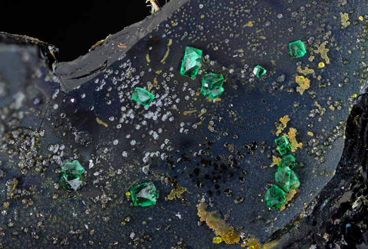 champ 2,18mm Antlerite c2,18mm.jpg
