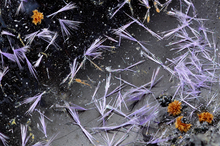 champ 2,2mm Elyite Ludlockite - Les Rats - Le Crozet -Loire c2,20.jpg