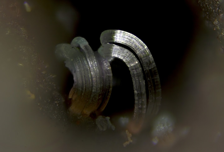 champ 0,85mm Gypse - Les Rats - Le Crozet - bourrat - c0,85 mm.jpg