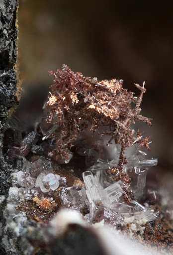 champ 1,7mm cuivre cerusite - le crozet - dpt42 - bourrat -c1,70 x1,20.jpg