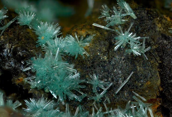 champ 1,7mm Caledonite c1,70.jpg