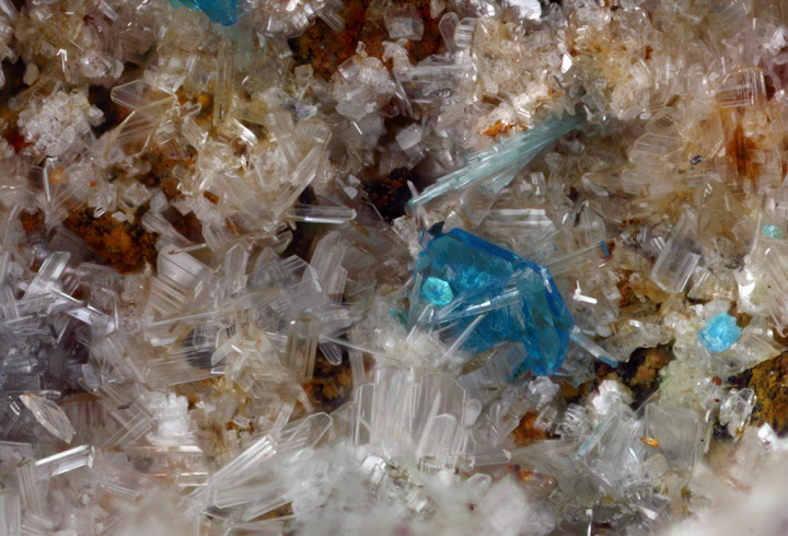 Linarite S  pangolite cerusite Les Rats- le  Crozet -  René Bierce -c1,50 mm.jpg