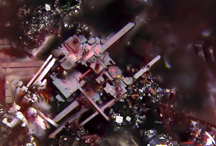 champ 0,85mm Cuprite -Les Rats - Le Crozet - Loire -rb - c 0,85 mm.jpg